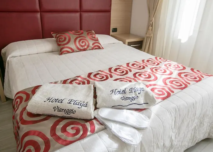 Playa Hotel Viareggio