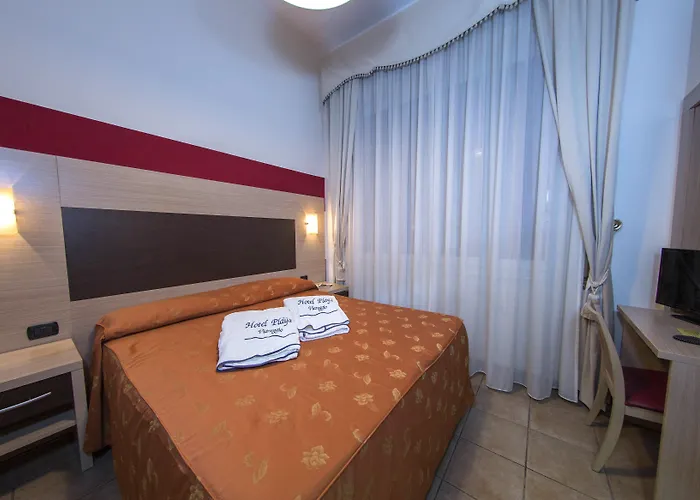 Hotel Playa Viareggio