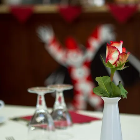 Hotel Playa Viareggio