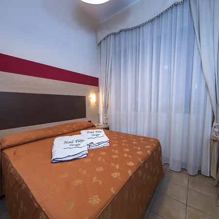 Hotel Playa Viareggio