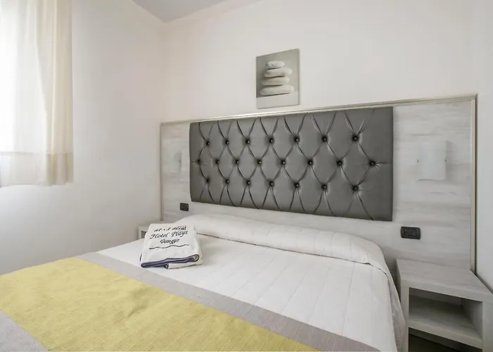 Playa Hotel Viareggio